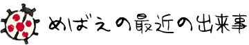 めばえの最近の出来事