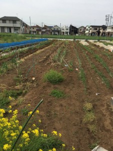 楽農くらぶ　野瀬自然農園