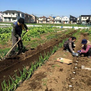 野瀬自然農園