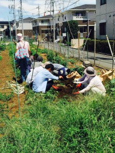 楽農くらぶ　大人も子どもも一生懸命