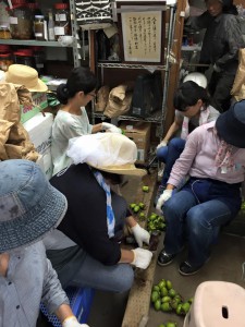 楽農くらぶ　直売所で柿渋作り