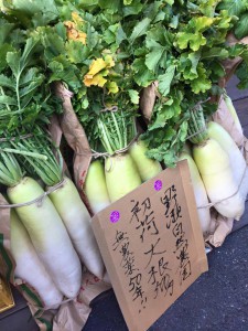 楽農くらぶ　無農薬50年！ 初荷の大根